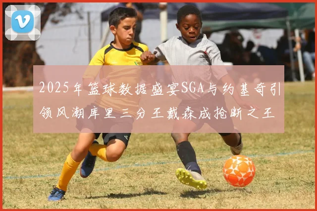 2025年篮球数据盛宴SGA与约基奇引领风潮库里三分王戴森成抢断之王
