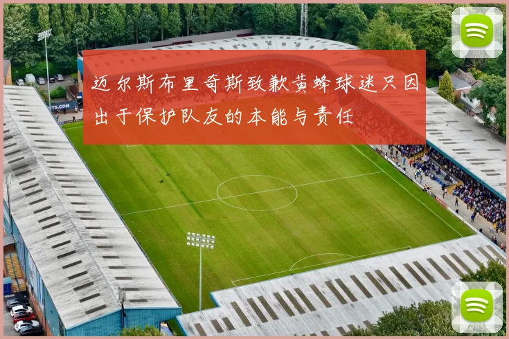 迈尔斯布里奇斯致歉黄蜂球迷只因出于保护队友的本能与责任