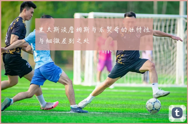 里夫斯谈詹姆斯与东契奇的独特性与细微差别之处
