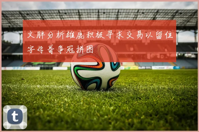 文胖分析雄鹿积极寻求交易以留住字母哥争冠拼图